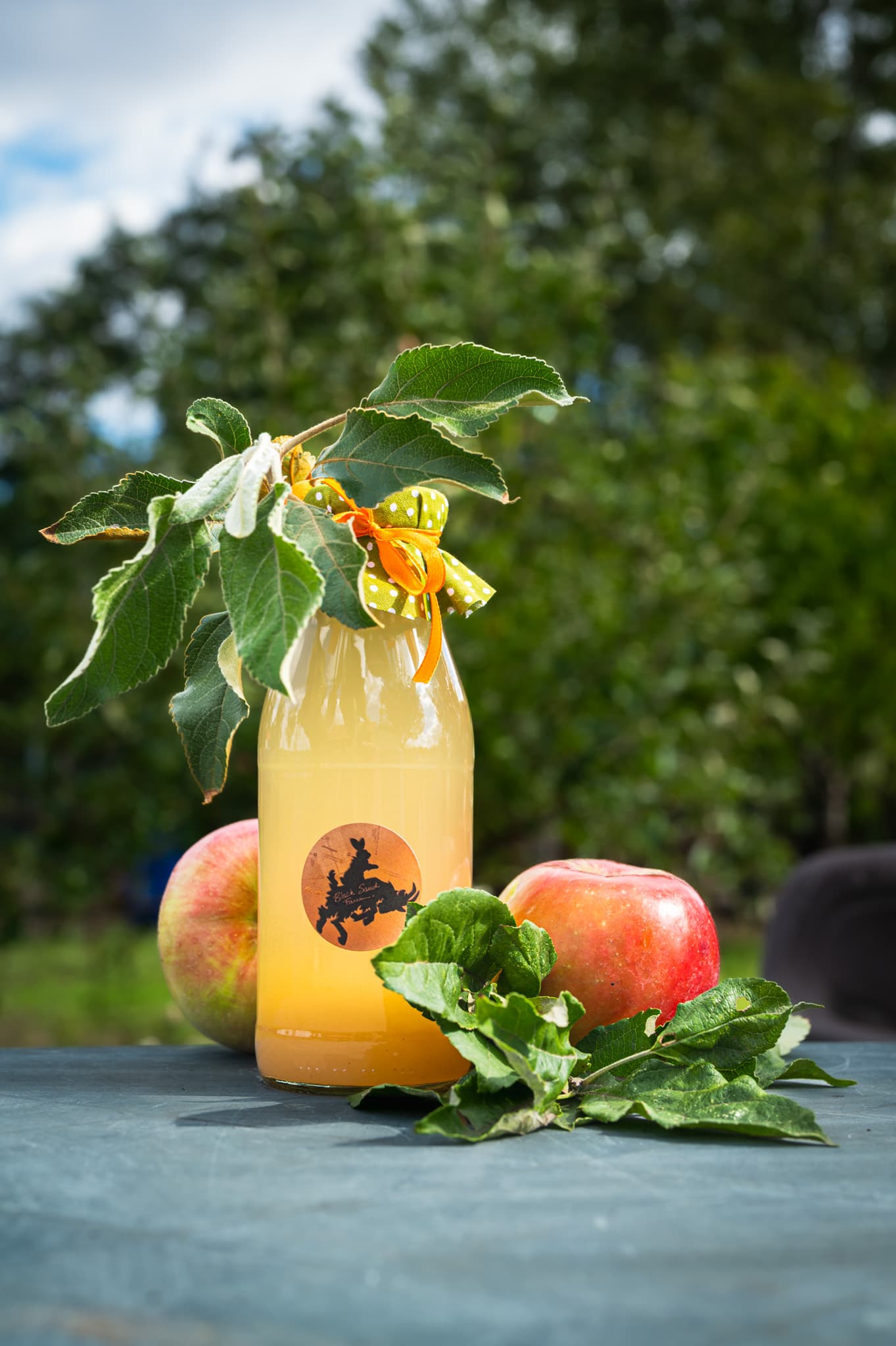 Fahéjas Almaszörp - 500ml - 2