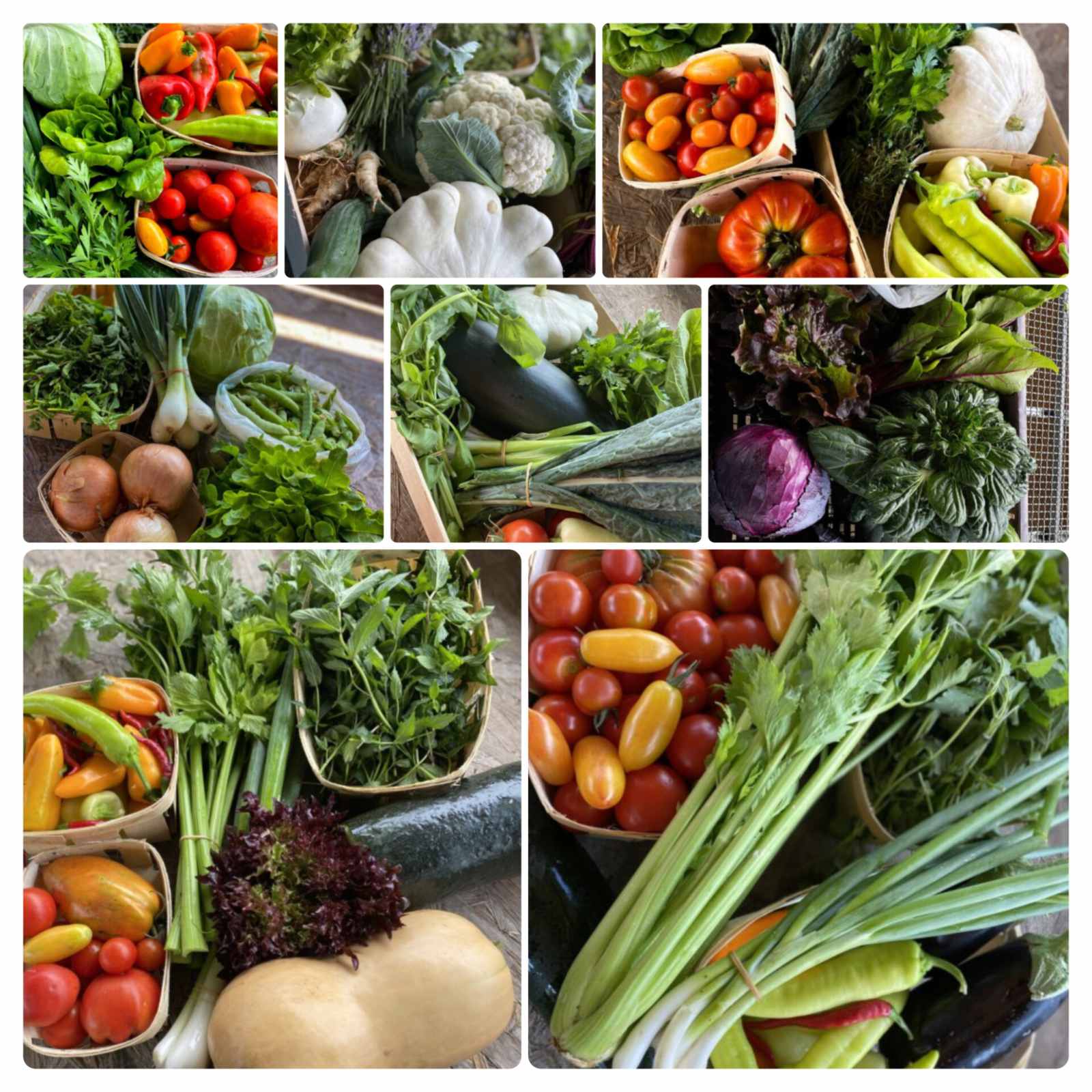 Nádland Farm KIS szezonkosár