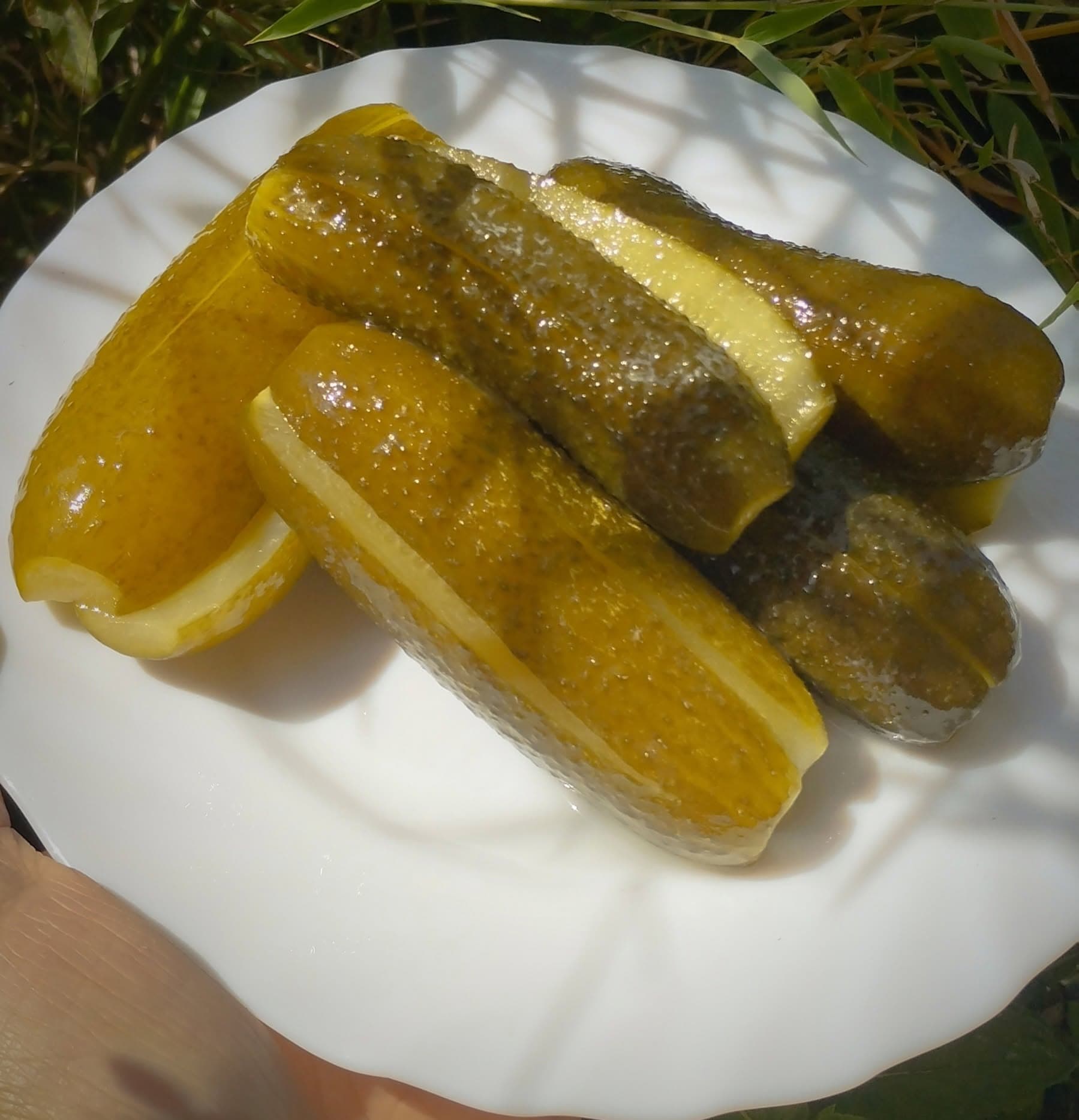 Kovászos uborka - 1