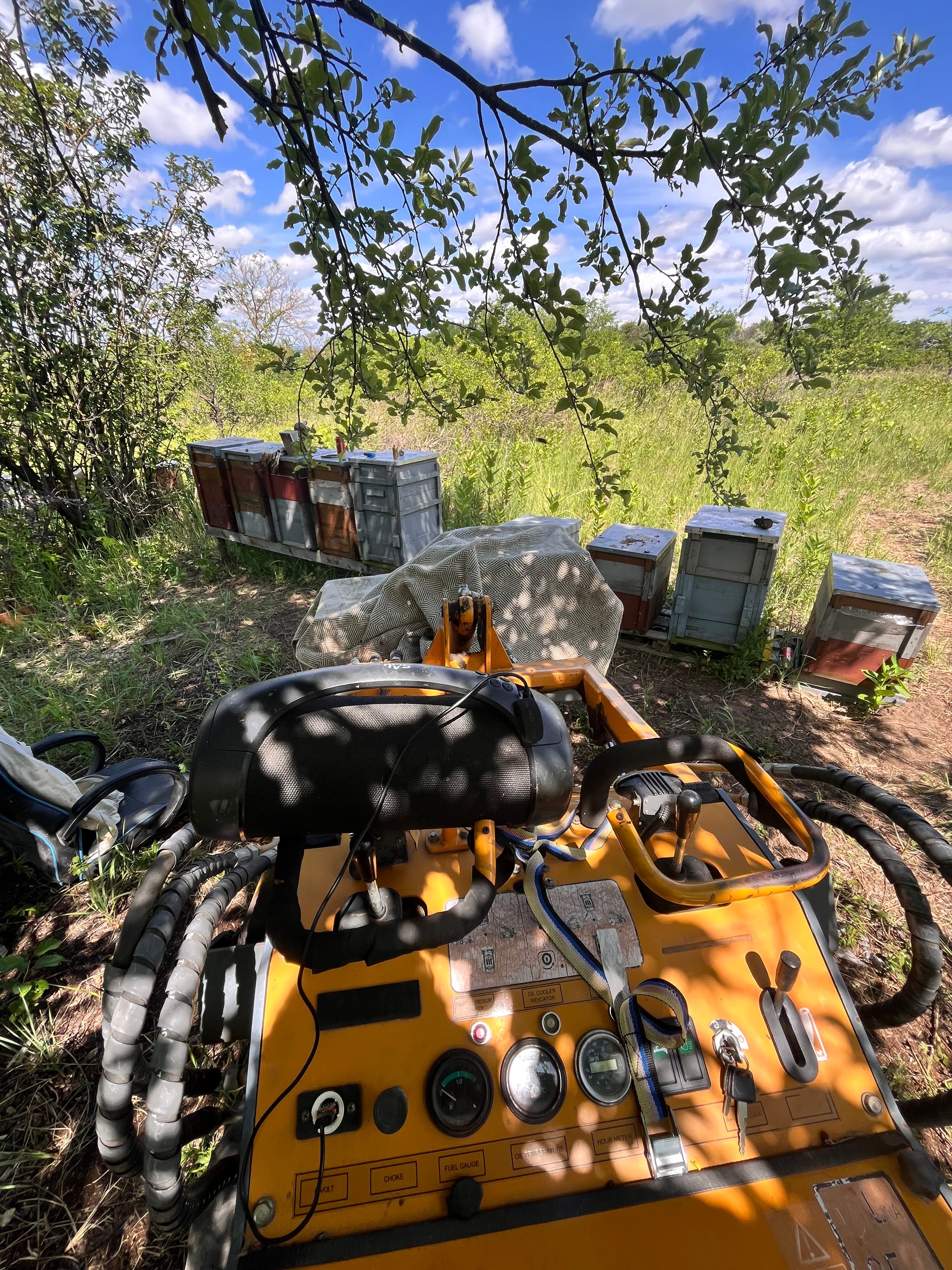 Zsabin Bee Farm - 4