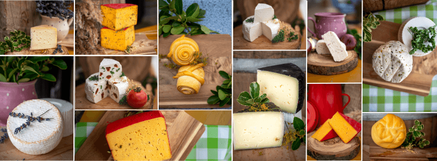 Tiszán innen Sajtbirtok cover